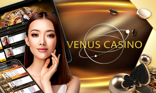 77bet cassino Terminal móvel